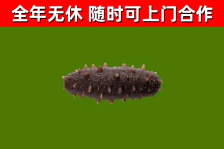 石鼓区烟酒回收干海参.jpg